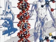 A DNS-ünk is kristályos szerkezetű